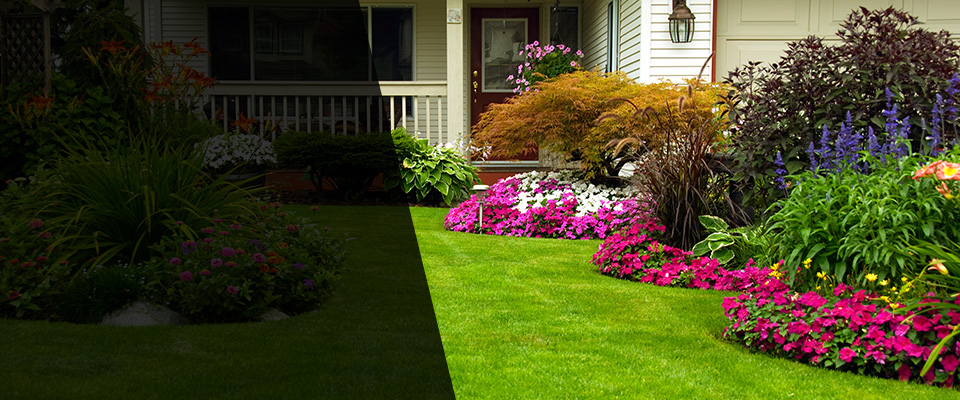 Redding Landscapers